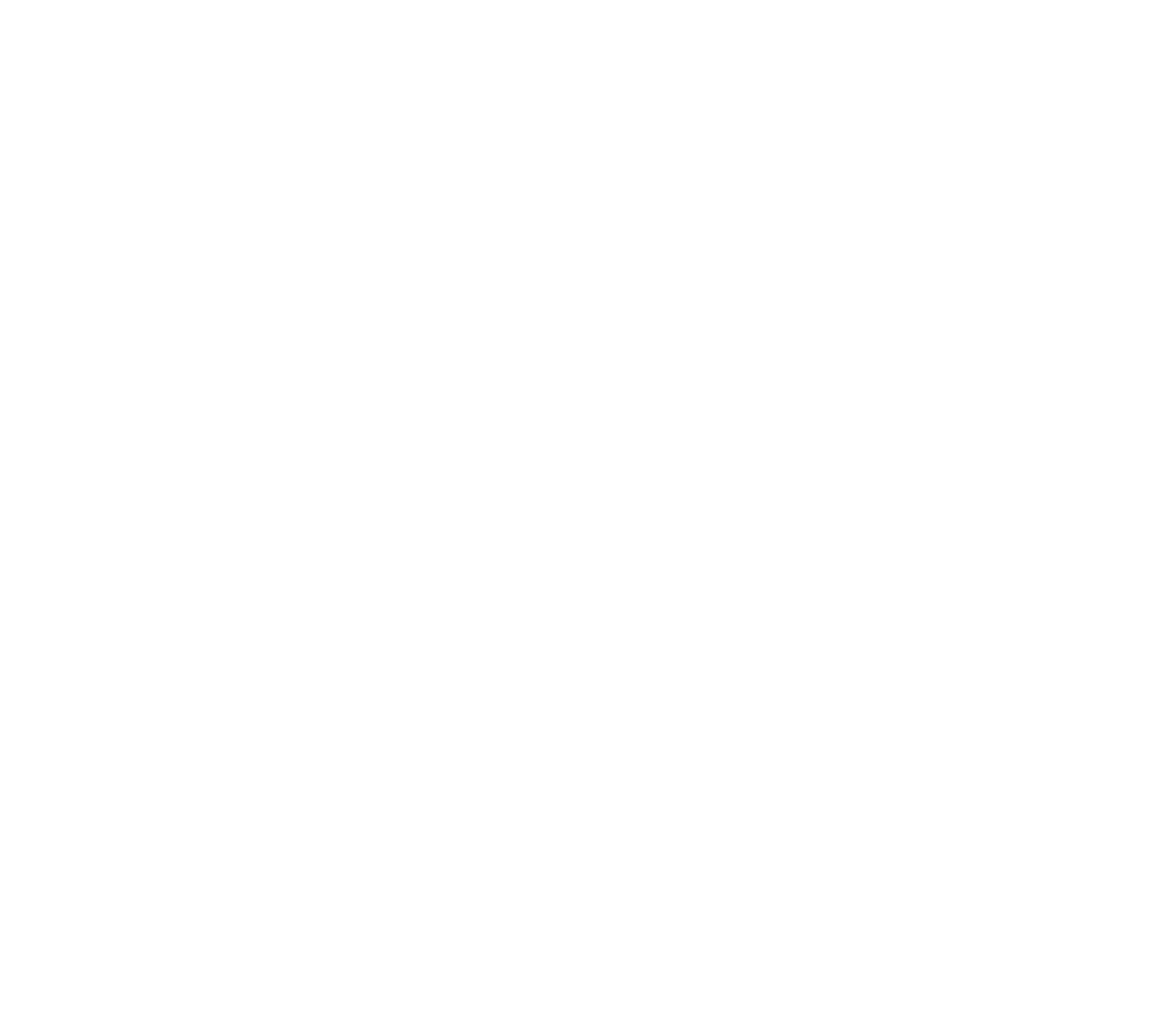 NP Cars